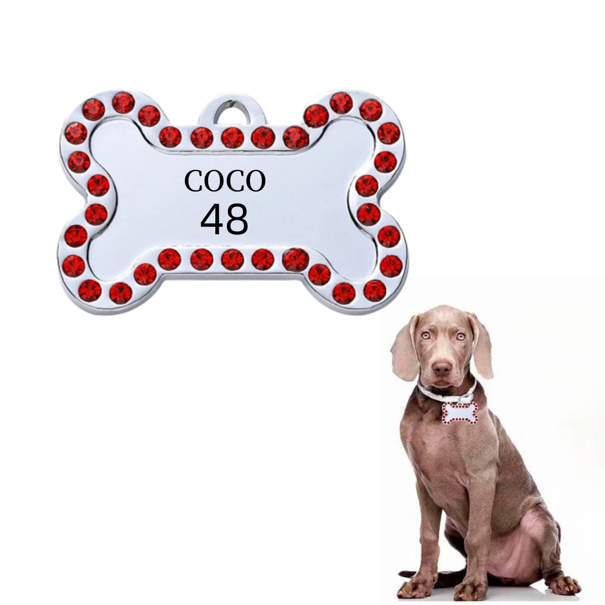 VIP Customizable Engraved Pets ID for Dog and Cat