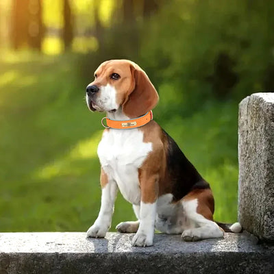 Personalized Engraved PU Leather Dog Collar