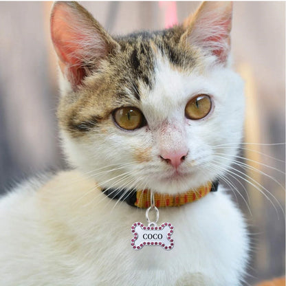 VIP Customizable Engraved Pets ID for Dog and Cat