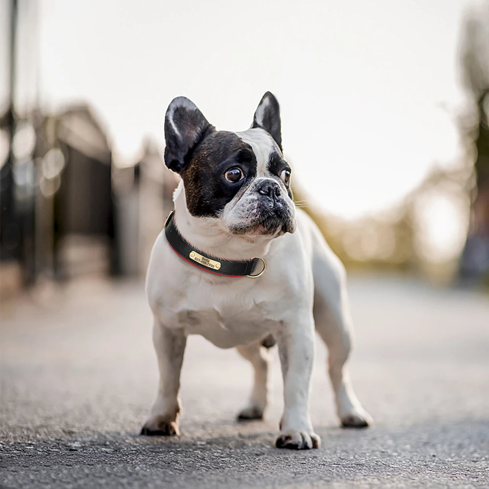Personalized Engraved PU Leather Dog Collar